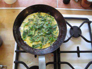 vajecna-omeleta-s-bylinkami_499_477